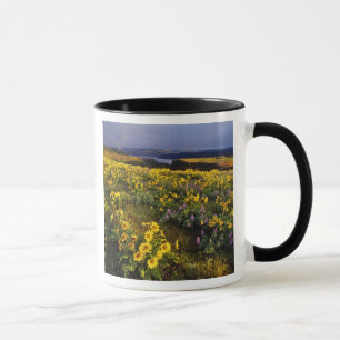 Frühlingswildblumen im Überfluss bei Tom Tasse