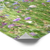 FrühlingsWildblumen Poster (Ecke)
