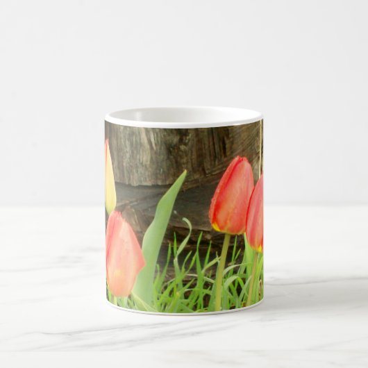 Frühlingszeit 2 Kaffee Kaffeetasse (Mittel)