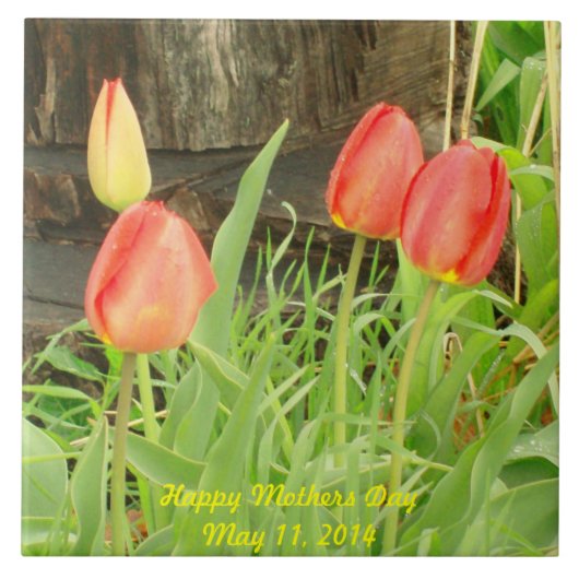 Frühlingszeit 2 Mütter Tag Tile Fliese (Vorderseite)