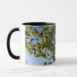 Frühlingszeit, Baum gegen blauen Himmel Tasse