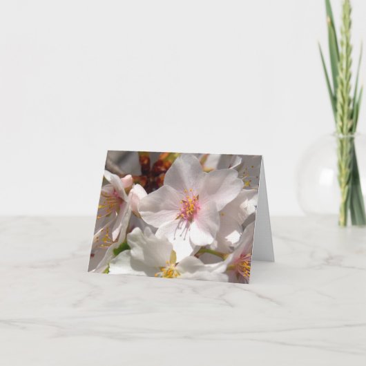 Frühlingszeit Dankeskarte (Vorderseite)