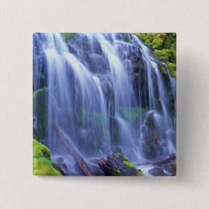 Frühlingszeit Frischwasser, das über Moos fließ Button