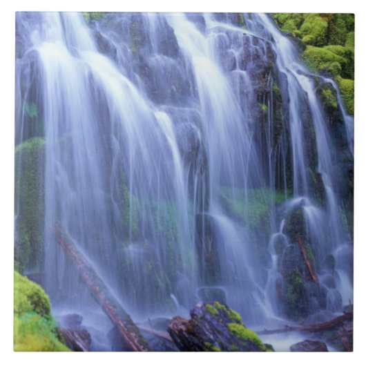 Frühlingszeit Frischwasser, das über Moos fließt Fliese (Vorderseite)