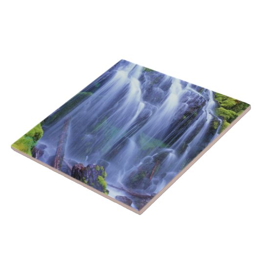 Frühlingszeit Frischwasser, das über Moos fließt Fliese (Seite)