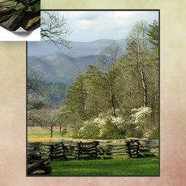 Frühlingszeit in der John Oliver Cabin Poster