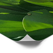 Frühlingszeit in Holland mit Tulips Poster (Ecke)