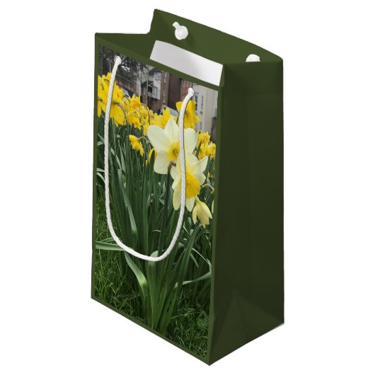 Frühlingszeit Kleine Geschenktüte (Vorderseite Schrägansicht)