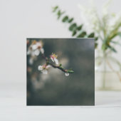 Frühlingszeit. Makro-Tau (Stehend Vorderseite)