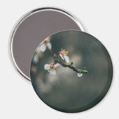 Frühlingszeit. Makro-Tau Magnet (Vorderseite/Rückseite)