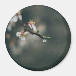 Frühlingszeit. Makro-Tau Magnet