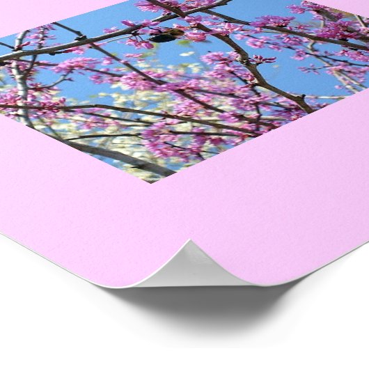 Frühlingszeit... Poster (Ecke)