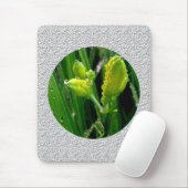 Frühlingszwiebeln Mousepad (Mit Mouse)