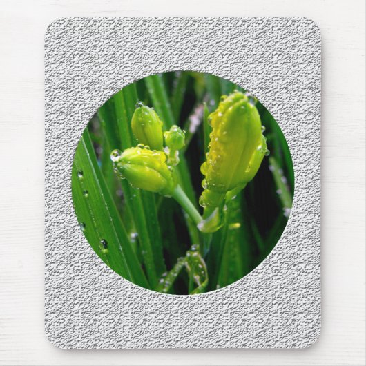 Frühlingszwiebeln Mousepad (Vorne)