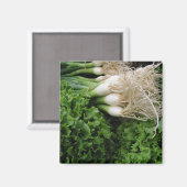 Frühlingszwiebeln und Salat Magnet (Vorderseite/Rückseite)