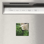 Frühlingszwiebeln und Salat Magnet (In Situ (Geschirrspüler))
