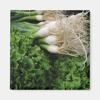 Frühlingszwiebeln und Salat Magnet
