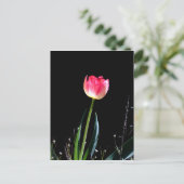 Frühlingtupe Postkarte (Stehend Vorderseite)