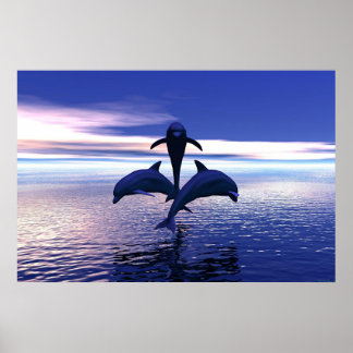 Frühmorgendliche Delphine Poster