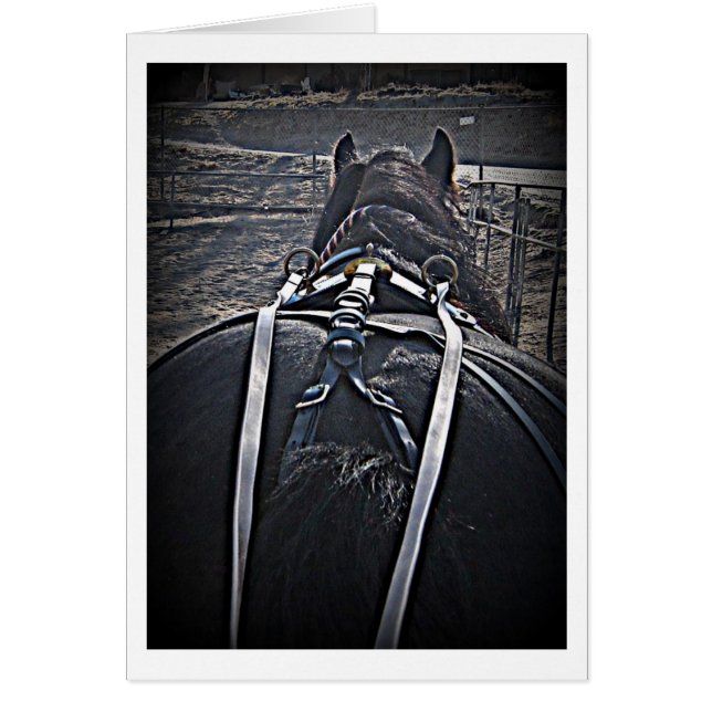 Frühmorgendliche Fahrt (Vorne)