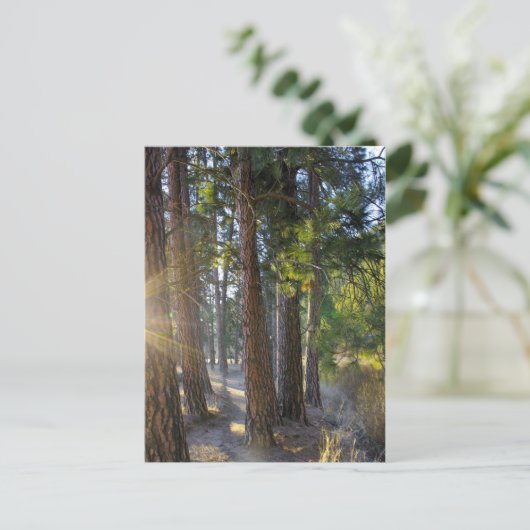 Frühmorgendliche Wanderung Postkarte (Stehend Vorderseite)