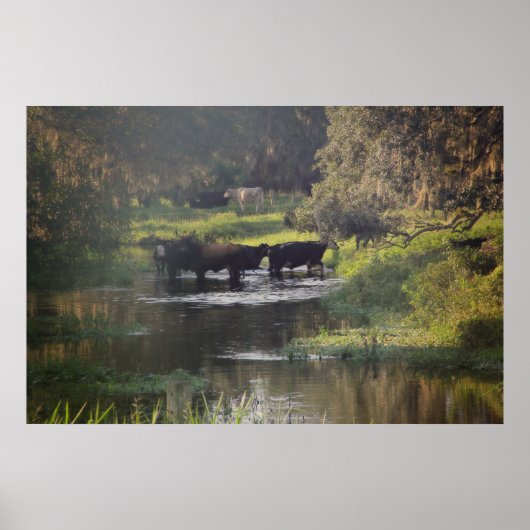 Frühmorgenschwimmen Poster (Vorne)