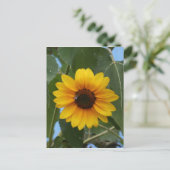 Frühstück für eine Biene !! Postkarte (Stehend Vorderseite)