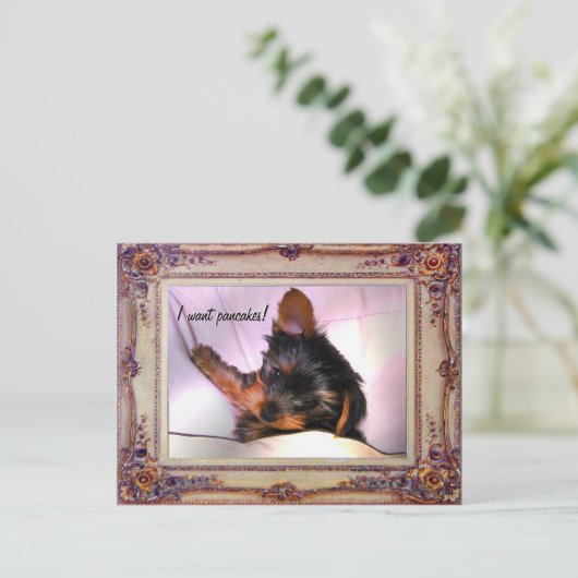 Frühstück im Bett Yorkie? Postkarte (Stehend Vorderseite)