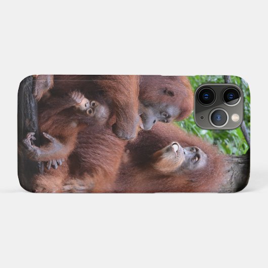 Frühstück mit dem Orangutans Zoo in Singapur Case-Mate iPhone Hülle (Rückseite (Horizontal))