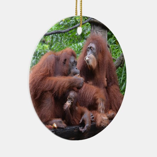 Frühstück mit dem Orangutans Zoo in Singapur Keramik Ornament (Rechts)