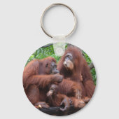 Frühstück mit dem Orangutans Zoo in Singapur Schlüsselanhänger (Vorderseite)