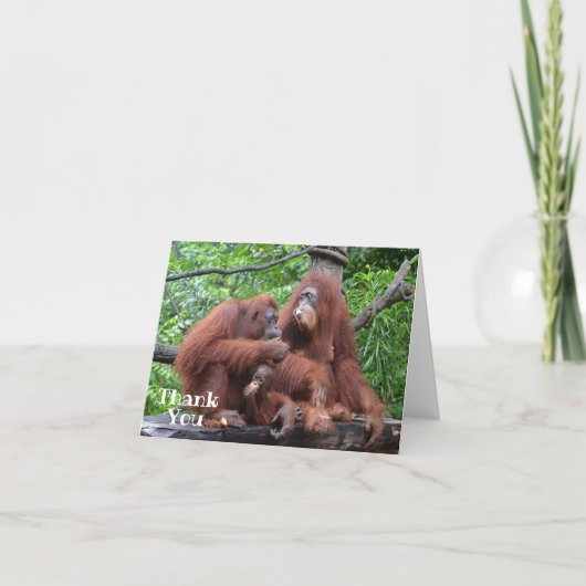 Frühstück mit den Orangutans Funny Dankeskarte (Vorderseite)