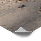 Frühstück, Strandleben Poster (Ecke)