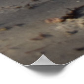 Frühstück, Strandleben Poster (Ecke)