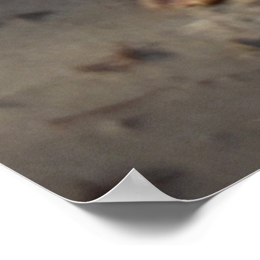 Frühstück, Strandleben Poster (Ecke)