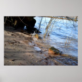 Frühstück, Strandleben Poster (Vorne)