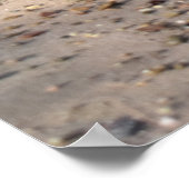 Frühstück, Strandleben Poster (Ecke)