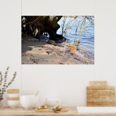 Frühstück, Strandleben Poster (Küche)