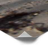 Frühstück, Strandleben Poster (Ecke)