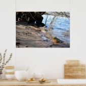 Frühstück, Strandleben Poster (Küche)