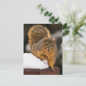 Frühstücksbereit Postkarte (Stehend Vorderseite)