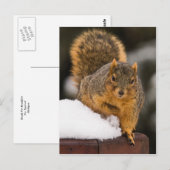 Frühstücksbereit Postkarte (Vorne/Hinten)