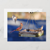 Frühstückstisch (Vögel) Postkarte (Vorne/Hinten)