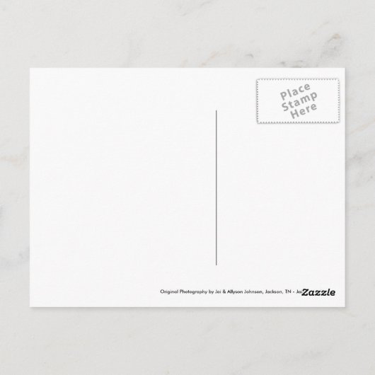 Frühstückstisch (Vögel) Postkarte (Rückseite)