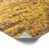 Frühstückszeit Poster (Ecke)