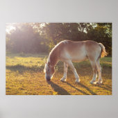 Frühstückszeit Poster (Vorne)