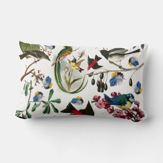 FRÜHVÖGEL, FARBFARBÜCHER UND OBST LENDENKISSEN (Rückseite)