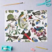 FRÜHVÖGEL, FARBFARBÜCHER UND OBST SEIDENPAPIER (Basteln)