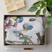 FRÜHVÖGEL, FARBFARBÜCHER UND OBST SEIDENPAPIER (Geschenk)