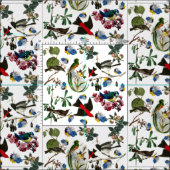 FRÜHVÖGEL, FARBFARBÜCHER UND OBST STOFF (Kachel)